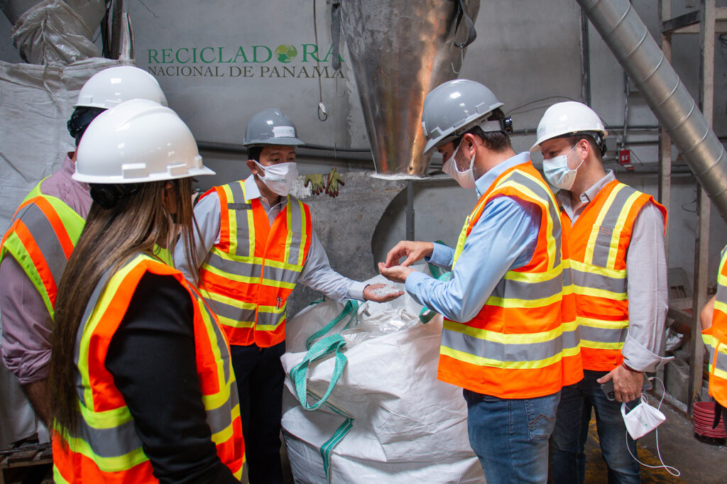 planta recicladora de panama yucca universal yucca schidigera