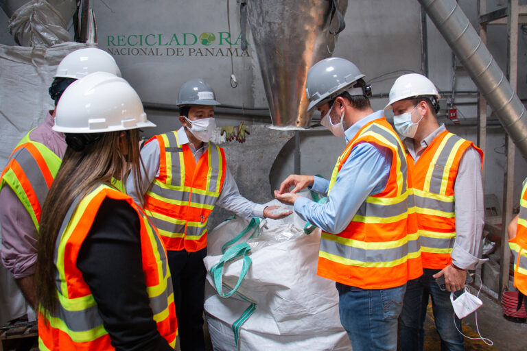 planta recicladora de panama yucca universal yucca schidigera